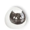 Black Cat 5-1/2" Plate