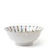 Rustic Tokusa Noodle Bowl