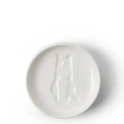 Sauce Dish Cat Sitting