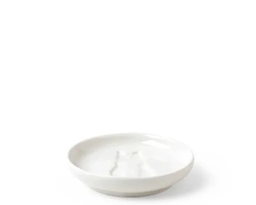 Sauce Dish Cat Sitting
