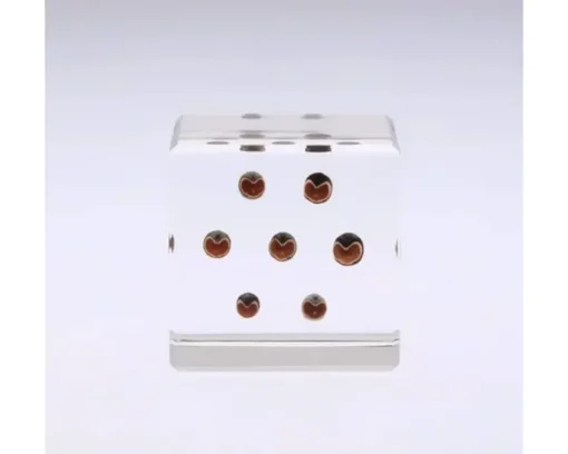 Sola Cube Balloon Plant
