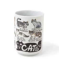Teacup Favorite Cats