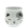 Teacup White Calico Cat